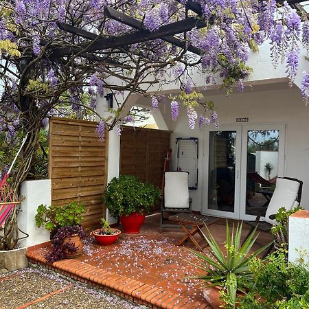 Arriba Stijlvol Appartement Met Zwembad En Tuin Кониль-де-ла-Фронтера Экстерьер фото
